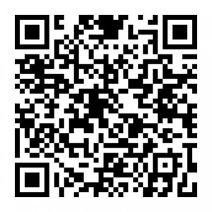 Wechat China Rising logo 16.1.17.png